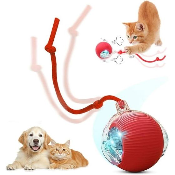 Red ball toy with a rope for pets, featuring a cat and dog on a white background.