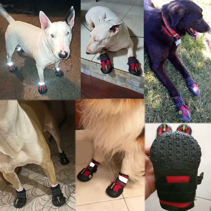 PawTrekker Boots β Set of 4