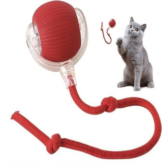 Red cat toy with a rope and a ball, featuring a cat playing with it on a white background.