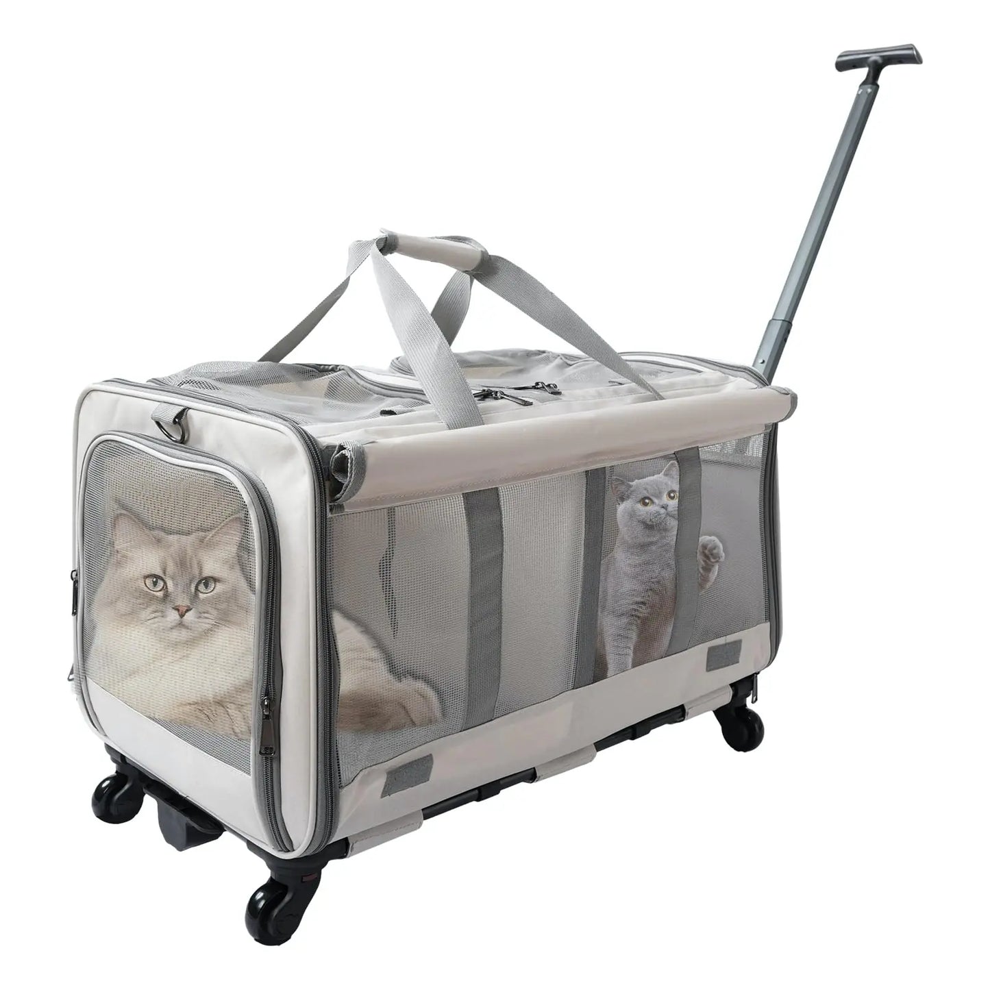 Pet carrier with wheels and a handle, containing two cats on a white background
