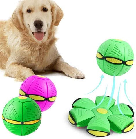 Magic Flying Disc Ball