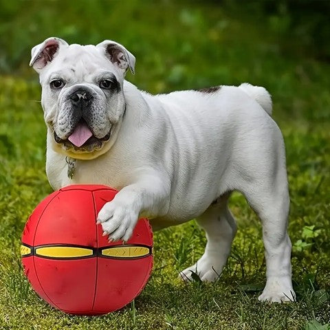 Magic Flying Disc Ball