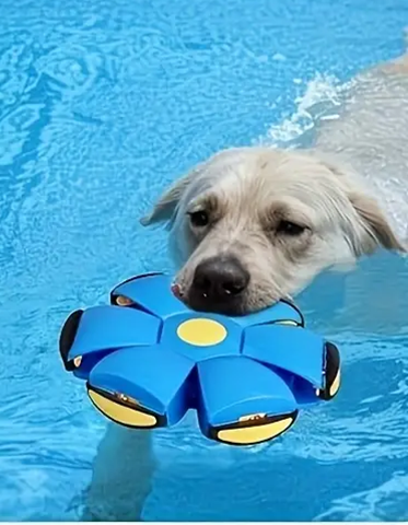 Magic Flying Disc Ball