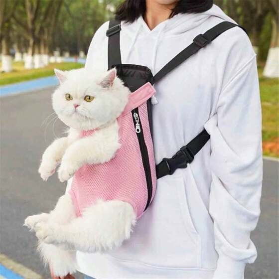 Person carrying a white cat in a pink pet carrier on a street.