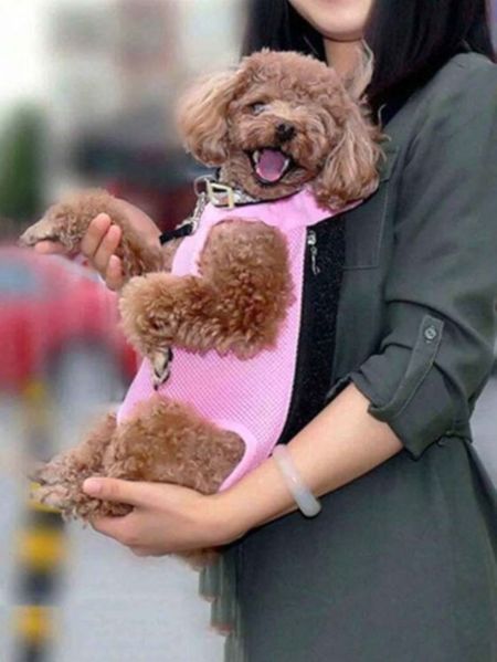 Small brown dog in a pink front carrier, carried by a person outdoors