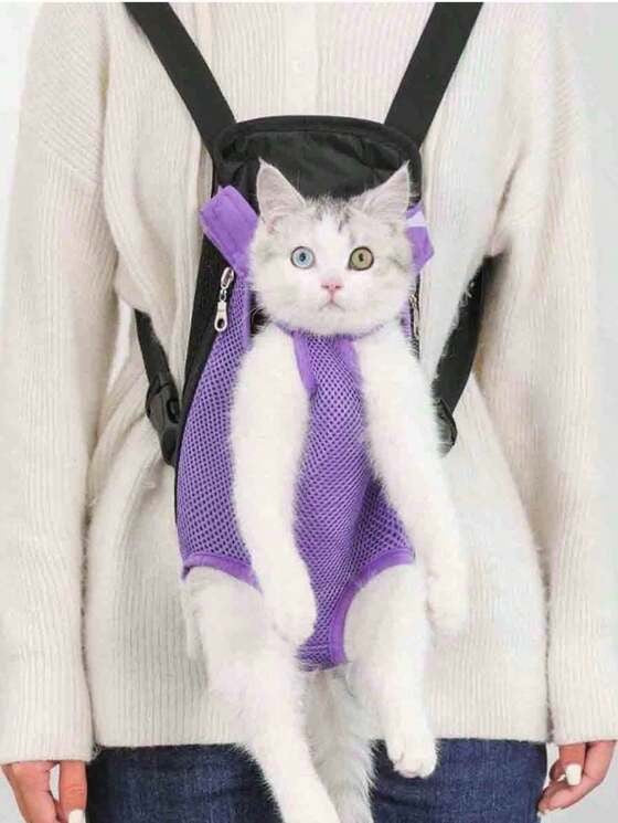 Cat in a purple backpack carrier worn by a person wearing a white sweater.