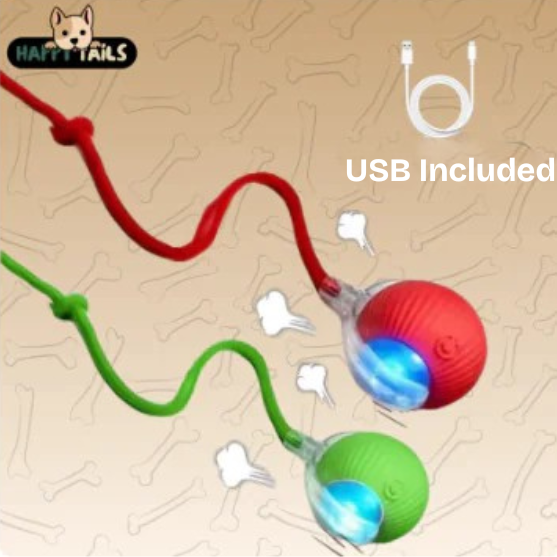 Colorful dog toy with USB cable