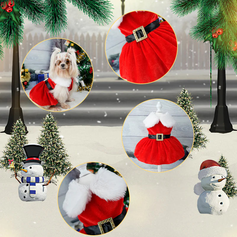 Dog in a red Santa outfit with Christmas decorations and snowmen.