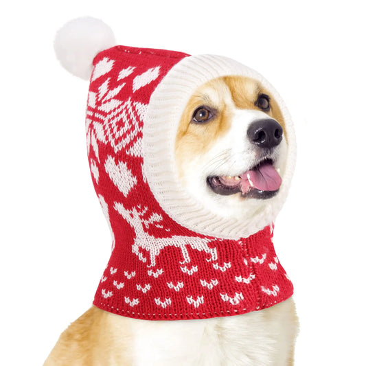 Dog wearing a red and white knitted hat with reindeer pattern on a white background