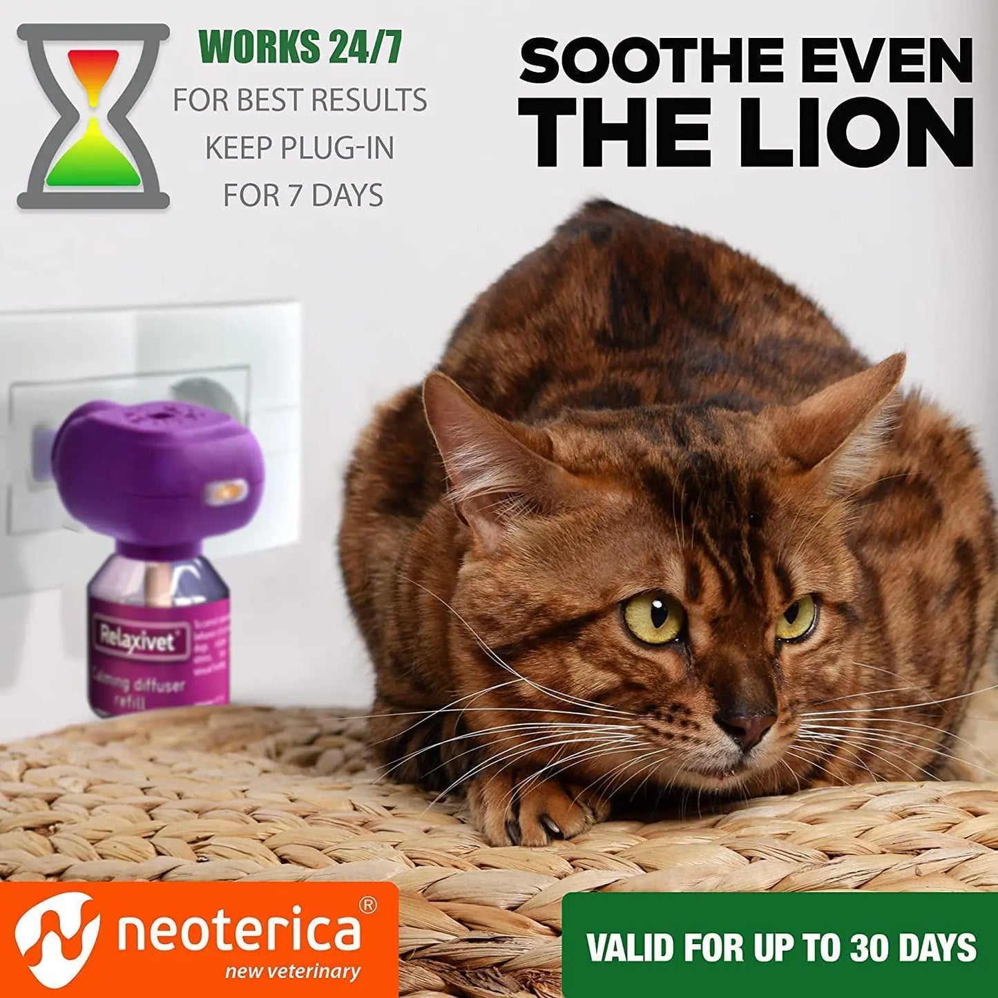 Cat lying on a mat next to a purple diffuser with Neoterica branding.