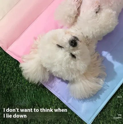 Small white dog lying on a pink and blue ice mat with text 'I don't want to think when I lie down'.