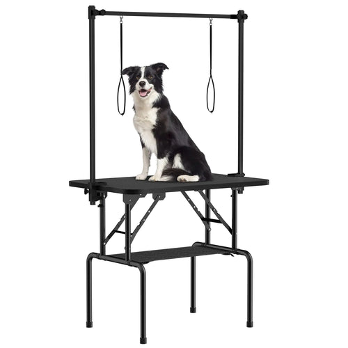 Dog sitting on a grooming table with a white background