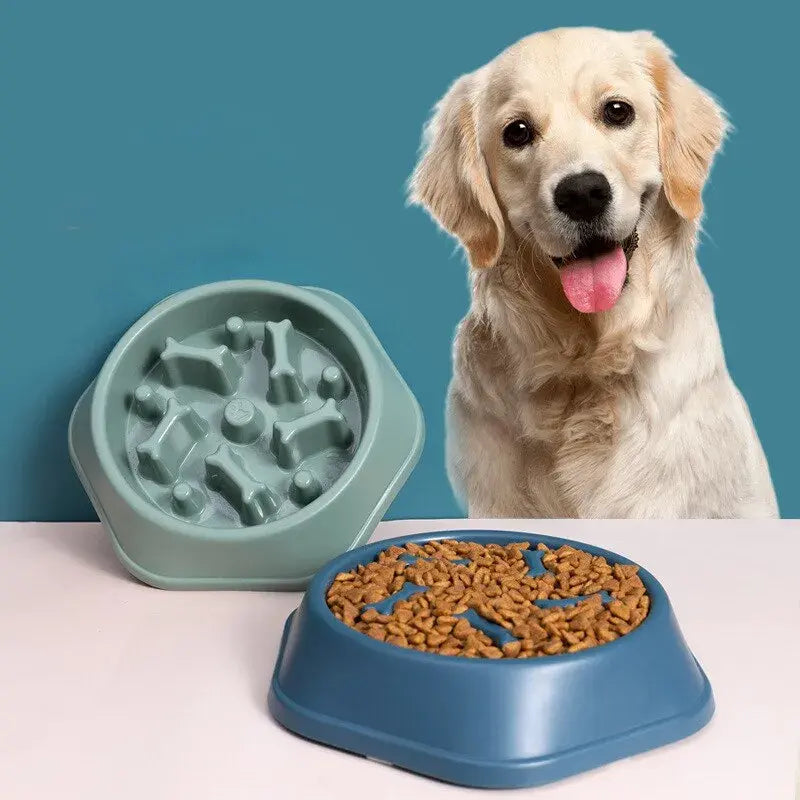 Feeding Essentials for Dogs & Cats - Elevate your pet's dining experience with modern pet feeding essentials like the TinyQilin Elevated Cat Feeder and Paw Play 2-in-1 Feeder designed for a healthy and fun mealtime.
