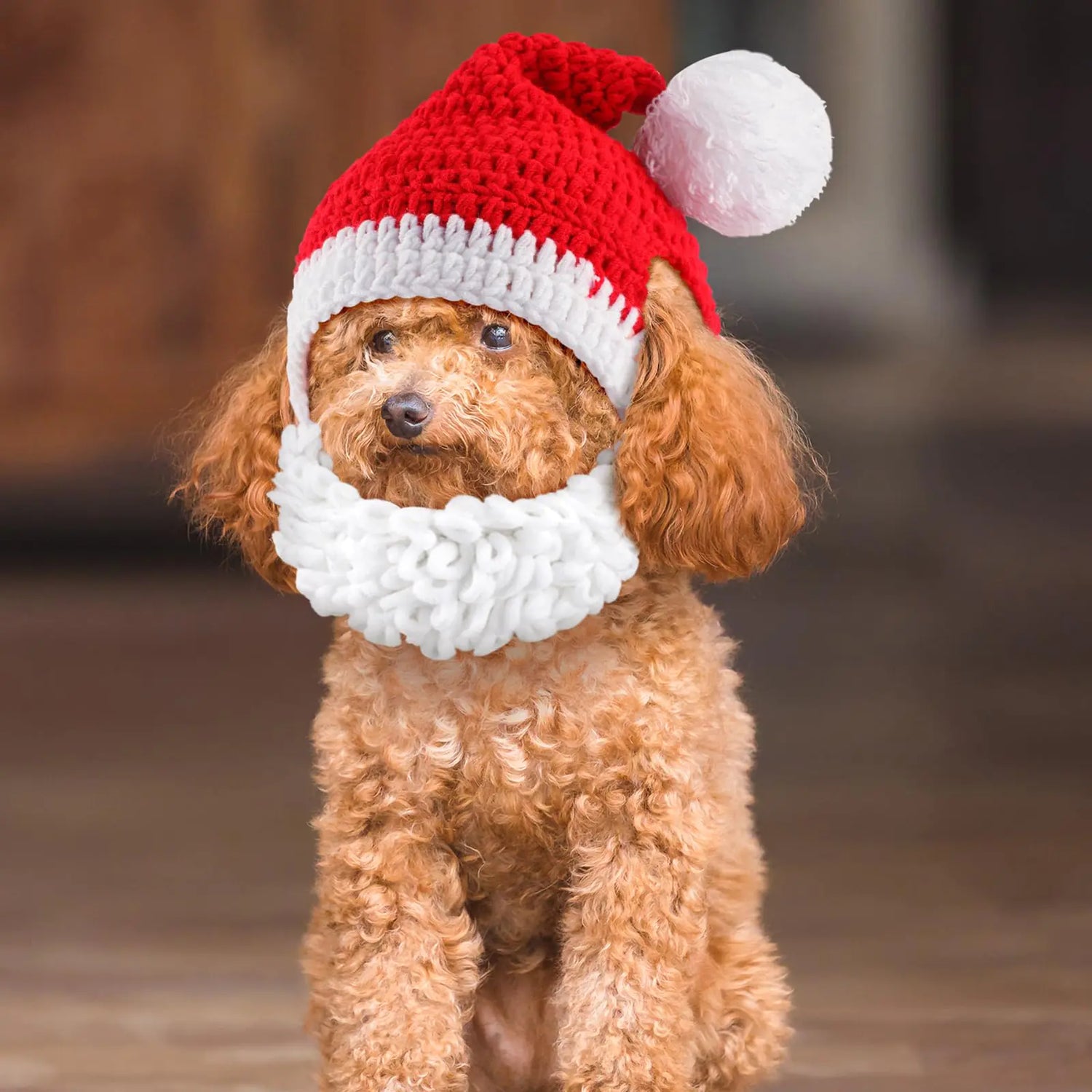 Jingle Paws Collection