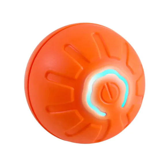 Pet playing with the Interactive Bouncing Ball, an engaging interactive pet toy for exercise.
