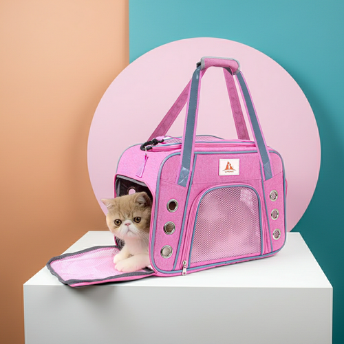 Pink pet carrier with a cat peeking out on a colorful background
