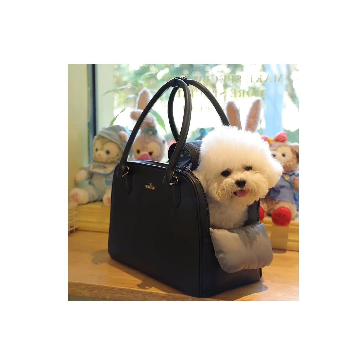 PawsPort Deluxe Airline-Approved Pet Carrier outdoors, demonstrating its breathable design and practical features like snack pocket and mini treat pouch, perfect for stylish pet owners on the go.