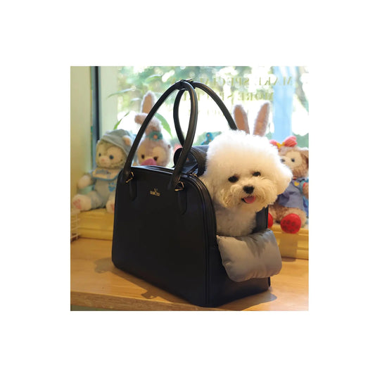 PawsPort Deluxe Airline-Approved Pet Carrier outdoors, demonstrating its breathable design and practical features like snack pocket and mini treat pouch, perfect for stylish pet owners on the go.