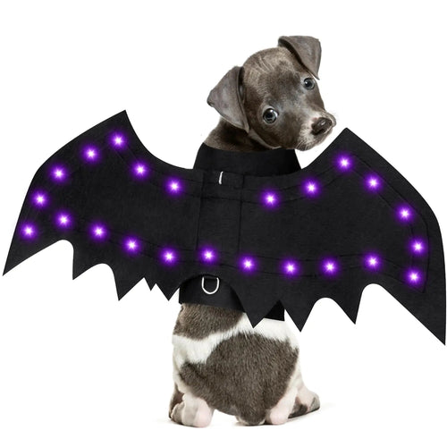 🦇 Luminous Bat Wings Dog Costume with LED Lights