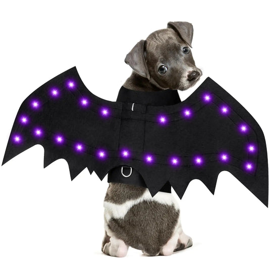 🦇 Luminous Bat Wings Dog Costume with LED Lights