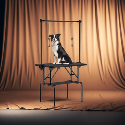 Dog on a grooming table with a brown curtain background