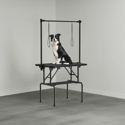 Dog standing on a grooming table with a gray background