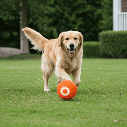 Compact design of the Interactive Bouncing Ball, ideal as an interactive pet toy for pets of all sizes.