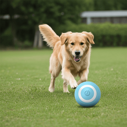 A cat engaging with the Interactive Bouncing Ball, emphasizing its appeal as an interactive pet toy.