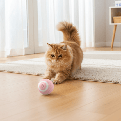 Interactive Bouncing Ball – USB Rechargeable Pet Toy designed as an interactive pet toy for dogs and cats.