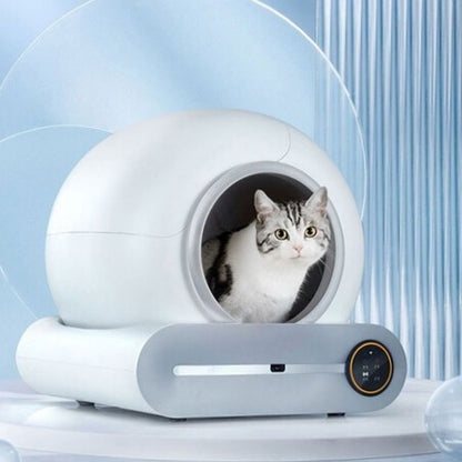 Automatic litter box with a cat peeking out, set against a light blue background