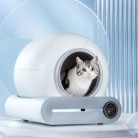 Automatic litter box with a cat peeking out, set against a light blue background