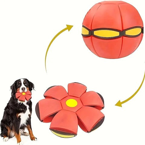 Magic Flying Disc Ball