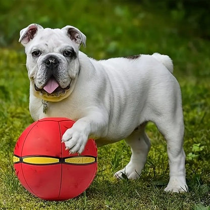 Magic Flying Disc Ball