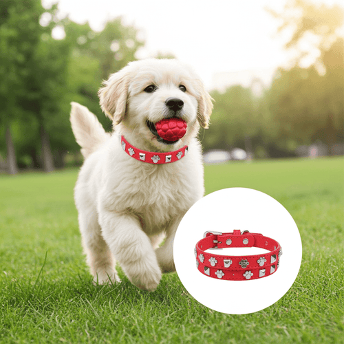 Studded Leather Pet Collar XS, a stylish small dog collar with red leather and charming paw prints, perfect for puppies.