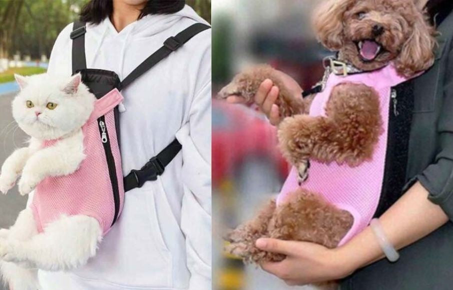 Two images showing a pink pet carrier with a white cat and a brown dog inside.