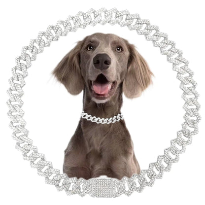Elegant Silver Dog Chain Collar with Secure Buckle 20inch displayed on a small dog. This stylish silver dog collar is ideal for walks, travel, and parties.
