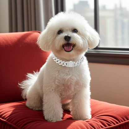 Close-up image of the Elegant Silver Dog Chain Collar with Secure Buckle 20inch, showcasing the shiny finish and zirconia accents. Perfect silver dog collar for small dogs, cats, and rabbits.
