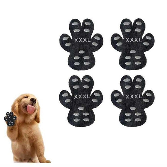 Set of black paw-shaped pet accessories with a dog holding one in front on a white background