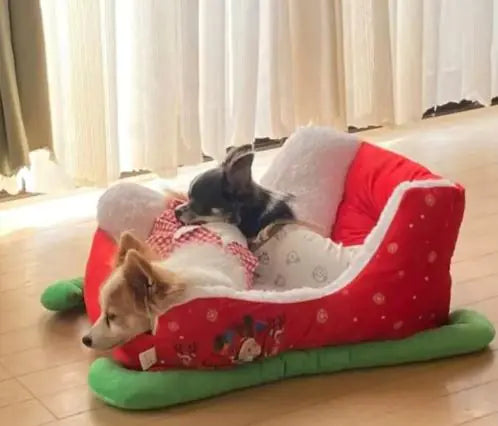Two dogs lying on a red and green Christmas sleigh pet bed with white snowflakes.