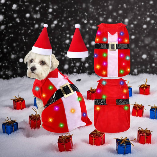 Luminous Santa Pup Costume - Medium featuring built-in string lights, perfect light up christmas dog costume for festive gatherings.