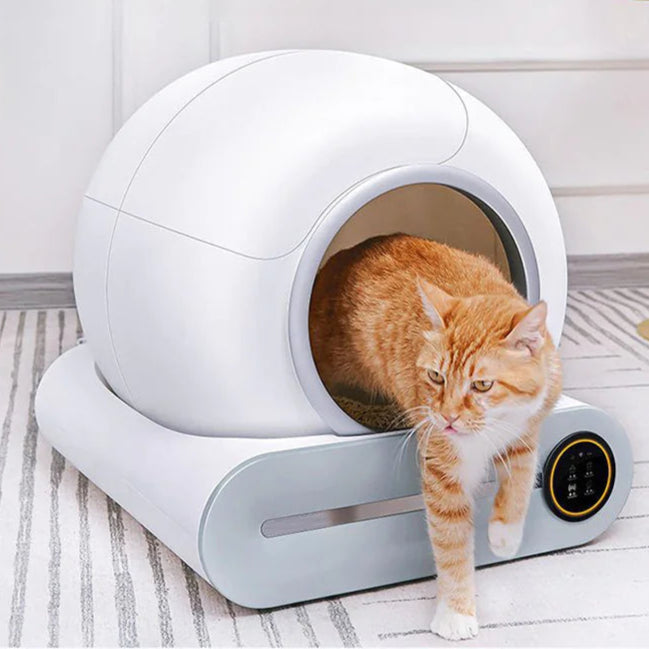 Cat using a modern automatic litter box in a home setting